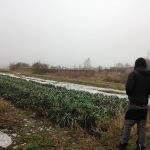 Συνάντηση Εκπαιδευτών: “Η Πρόσβαση στη Γη στην Ευρώπη”, Βερολίνο 18-25/1/2017. Η εμπειρία μας.