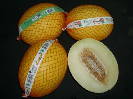 itaueira2